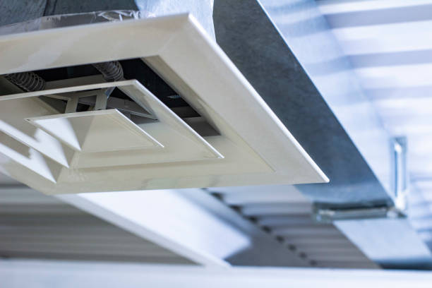 Best Air Duct Sanitizing Services  in Cross Plains, TN
